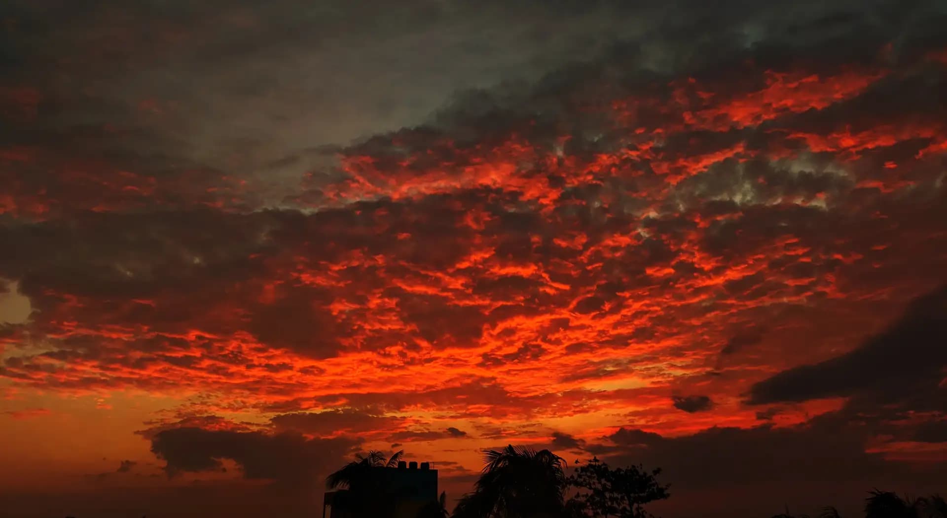 It was right after the sunset. The sky became reddish orange. It was mesmerizing.