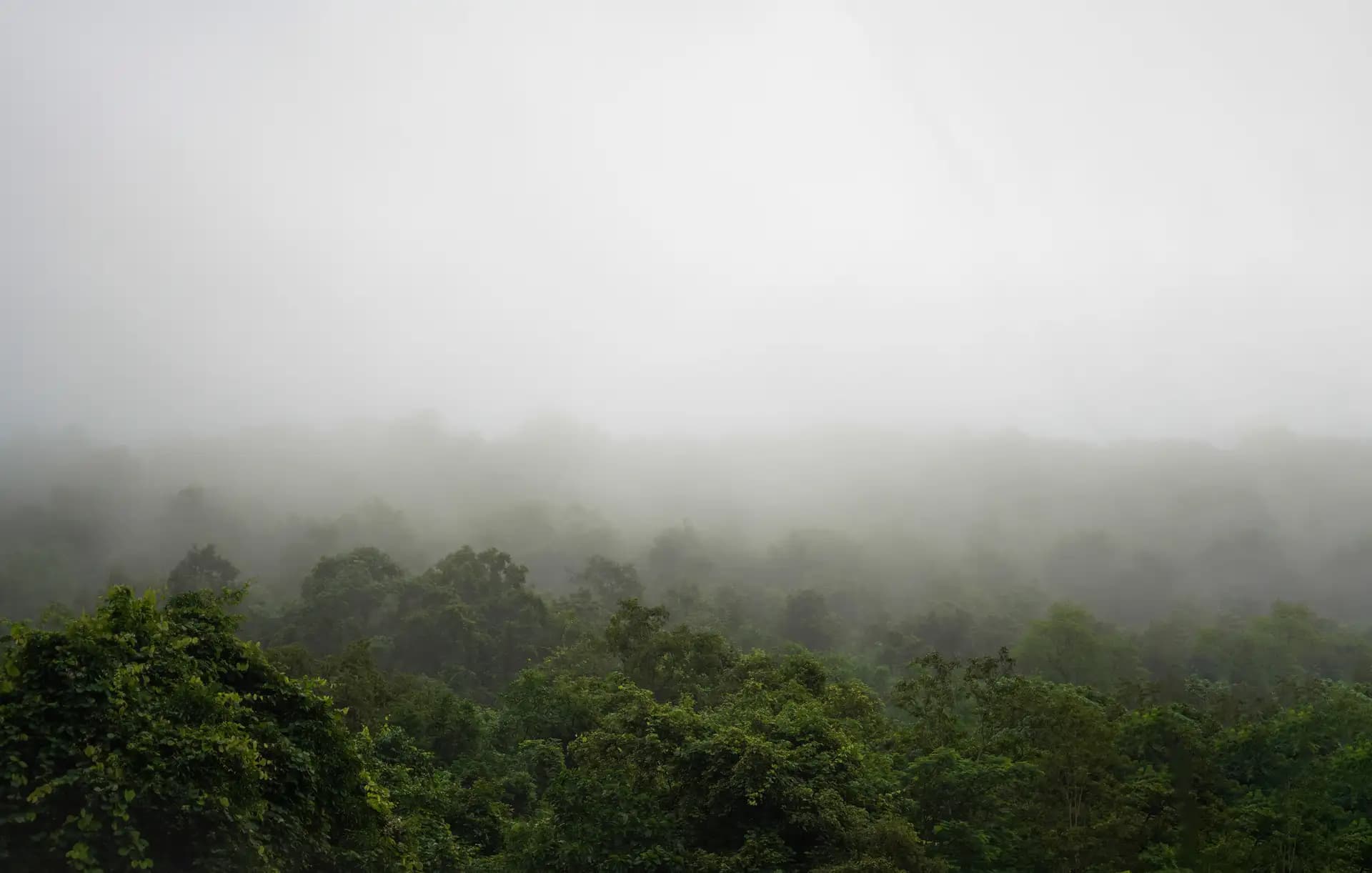Scenic view on the way to Borra Cave from the train..
