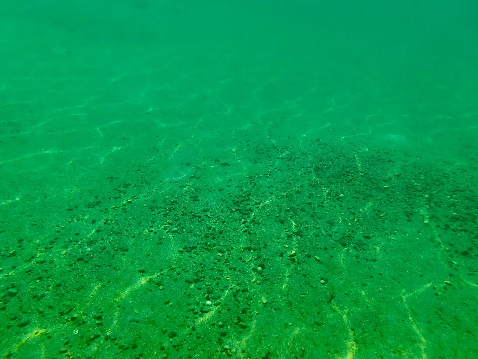 The view of underwater in Dawki River.